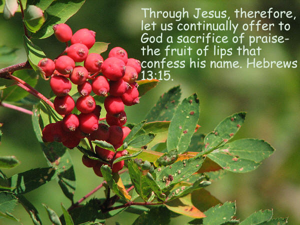 hebrews 13 15