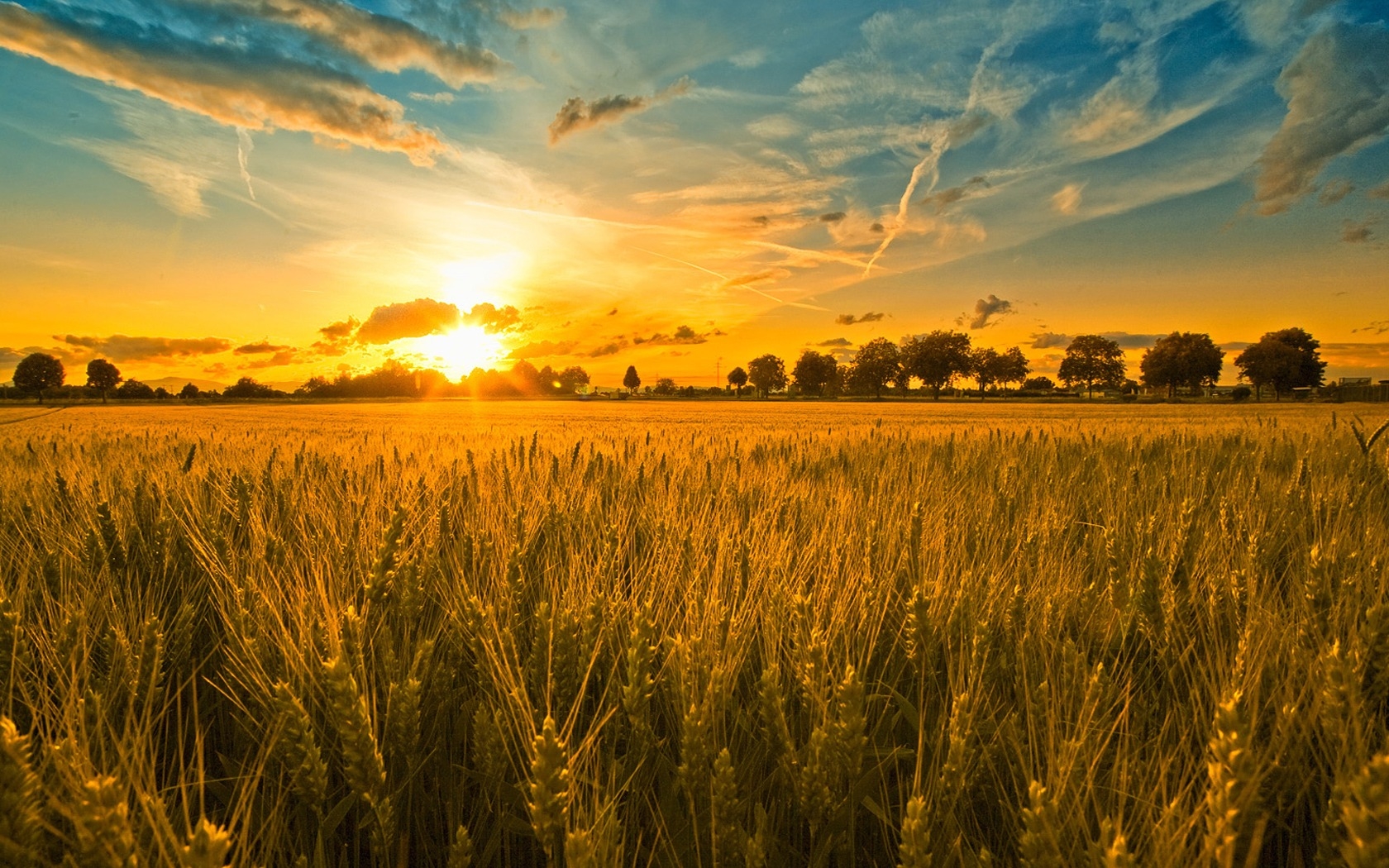 Time of Harvest