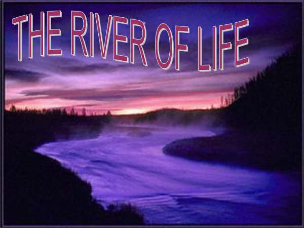 river of life